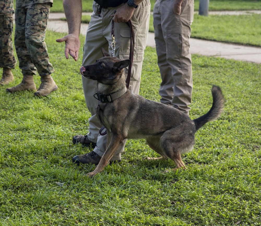 Parris Island Dog Training