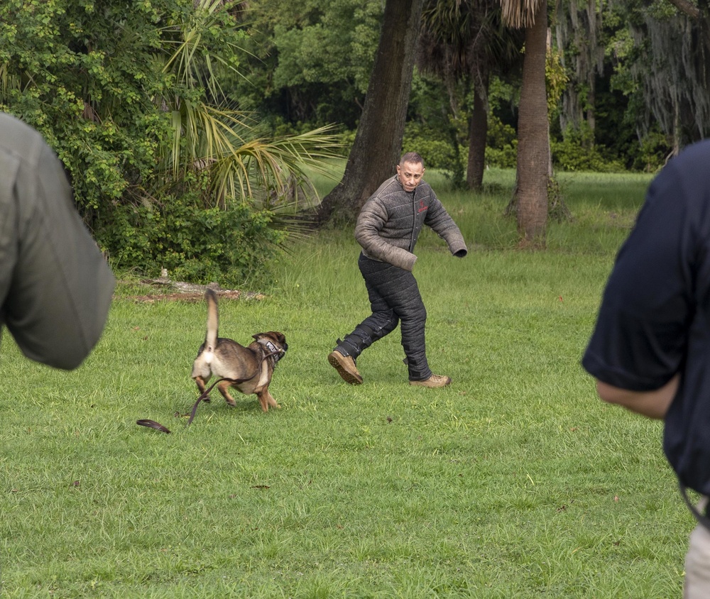 Parris Island Dog Training