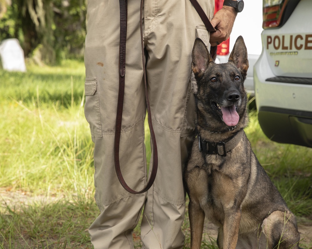 Parris Island Dog Training