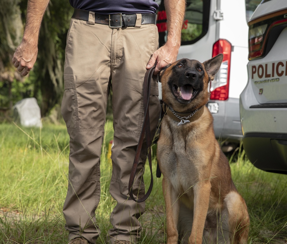 Parris Island Dog Training