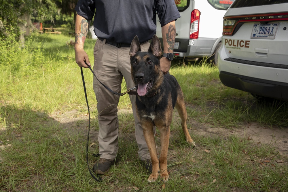 DVIDS - Images - Parris Island Dog Training [Image 7 of 8]