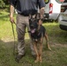 Parris Island Dog Training