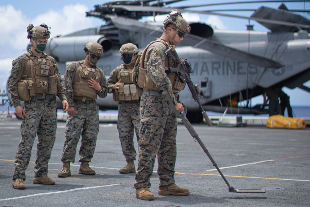 BLT 1/1 Combat Engineers Sweep for Simulated IEDs