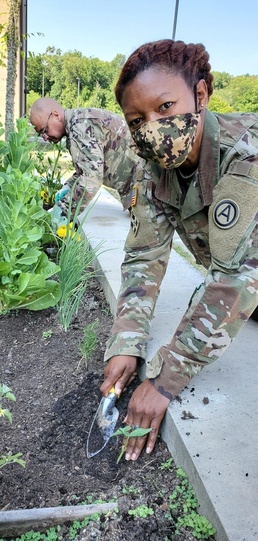 Fort Benning Soldier Recovery Unit Garden Brings Joy