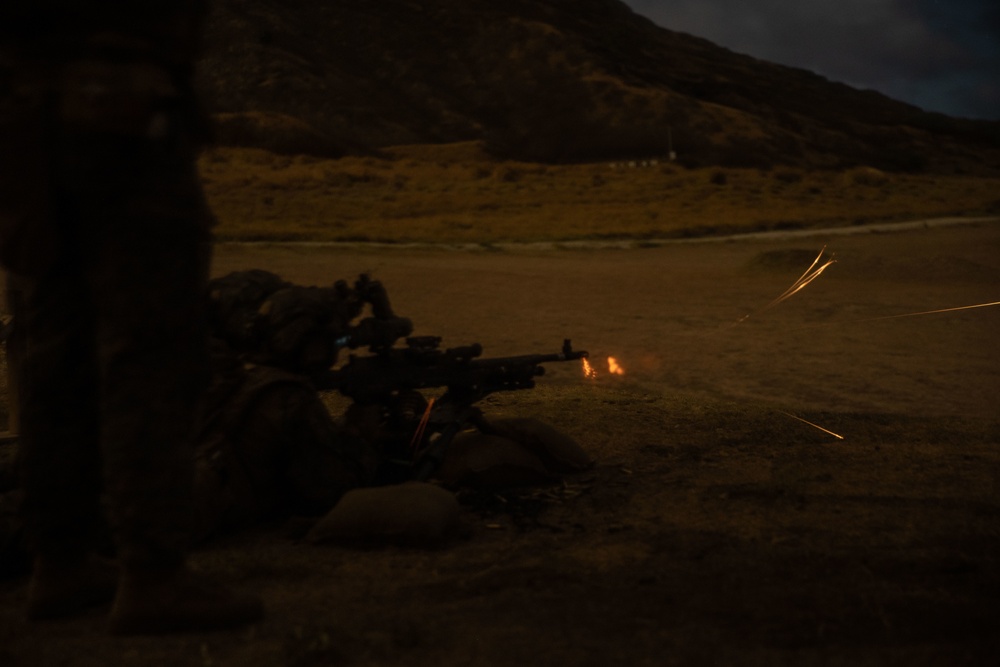 Alpha Company SUSTEX on Hawaii