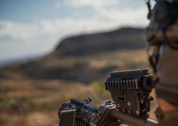 Alpha Company SUSTEX on Hawaii