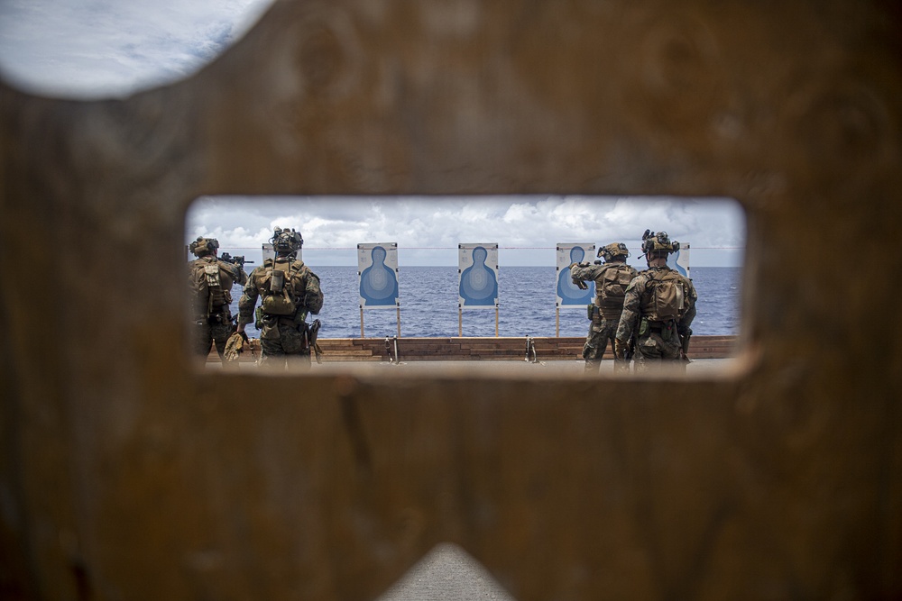 Marines assigned to the 31st Marine Expeditionary Unit participate in a fast rope and live fire exercise.