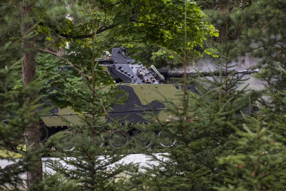 Danish 2nd Armored Infantry trains at GTA