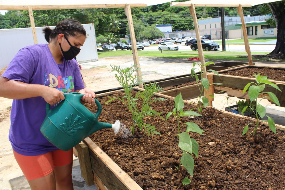 Guam Based Sailors and Visiting Marines Volunteer at Community Garden