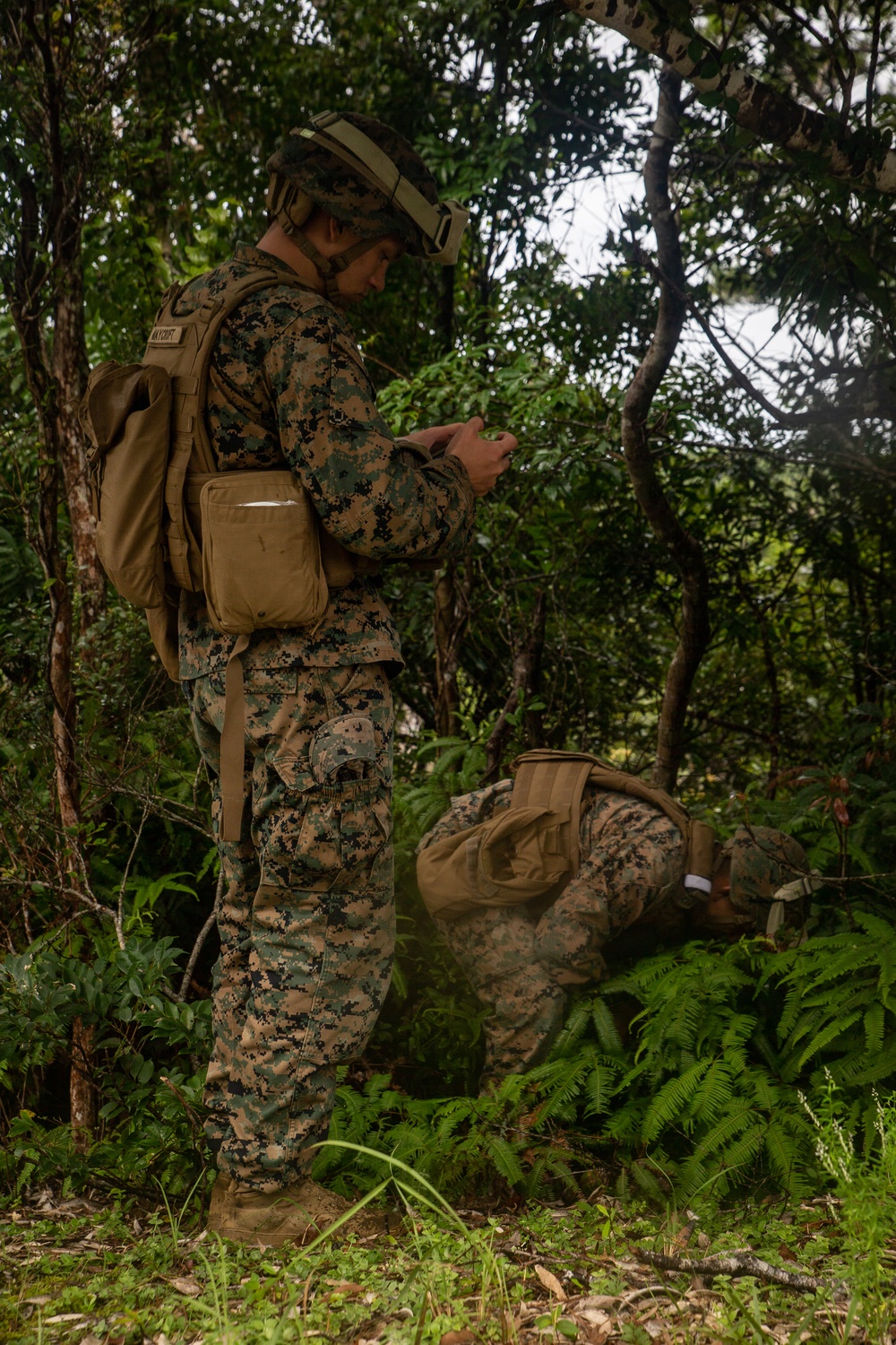 Marines with 31st MEU resupply Marines in the field