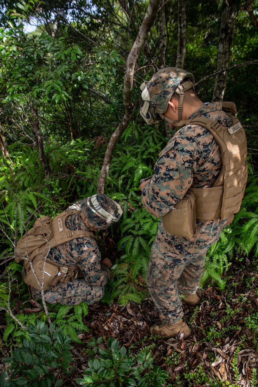 Marines with 31st MEU resupply Marines in the field
