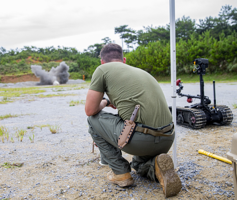 Going out with a bang - Explosive Ordnance Disposal demolition range