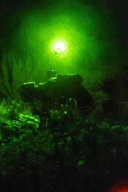 31st MEU Conducts Fire Support Coordination Exercise While Forward-Deployed Aboard USS America (LHA 6)