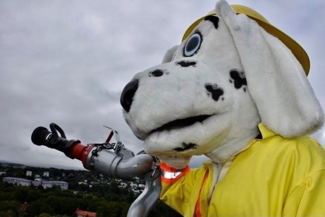 USAG Wiesbaden’s First Responders Day celebration a huge success