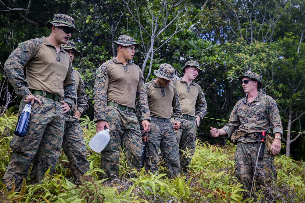 DVIDS - Images - Task Force Koa Moana Site Preparation [Image 1 of 10]