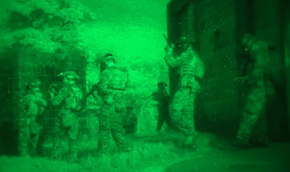 NSW, 31st MEU Conduct Night Training