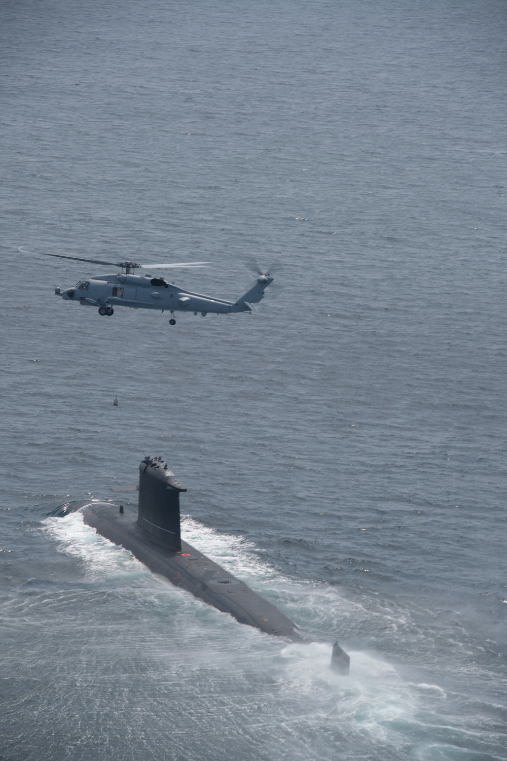 U.S. Naval Air Forces Participates in DESI HOISTEX with International Partner Chile