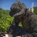 Marines conduct Tactical Air Control Party Exercise