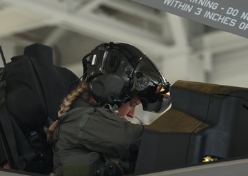 Gorillas Take Alaska