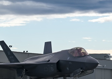 Gorillas Take Alaska