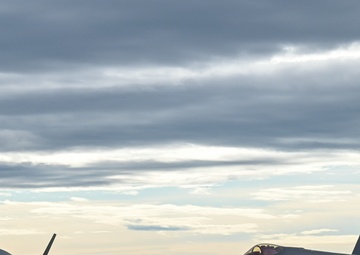 Gorillas Take Alaska