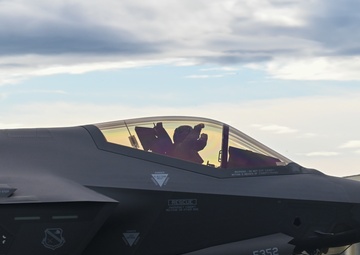 Gorillas Take Alaska