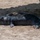 Monk seals take MCBH