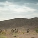 U.S. Soldiers conduct Live-Fire Training in Djibouti, Africa