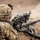 U.S. Soldiers conduct Live-Fire Training in Djibouti, Africa