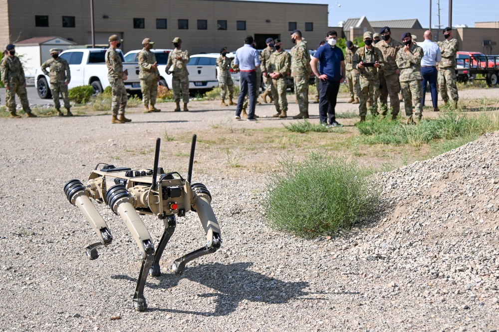 Demonstration shows innovative capabilities of robotic dog