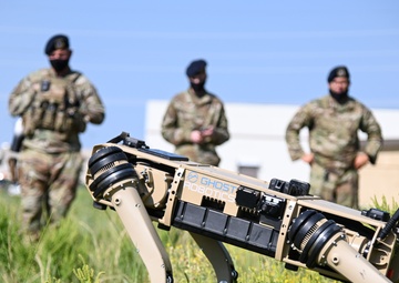 Demonstration shows innovative capabilities of robotic dog