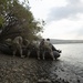 Combined Military effort at Yakima Strike