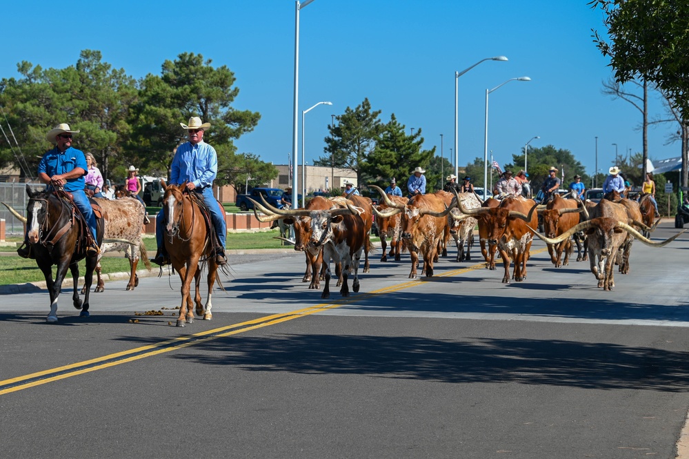 Moo-ve over, cattle coming through!
