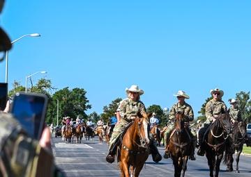 Moo-ve over, cattle coming through!