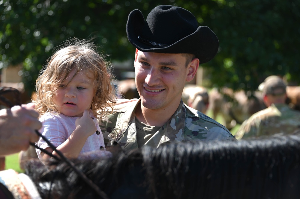 Moo-ve over, cattle coming through!