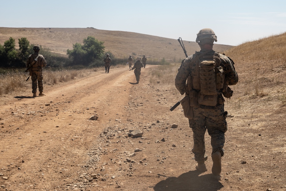 Super Squad: V15 R800