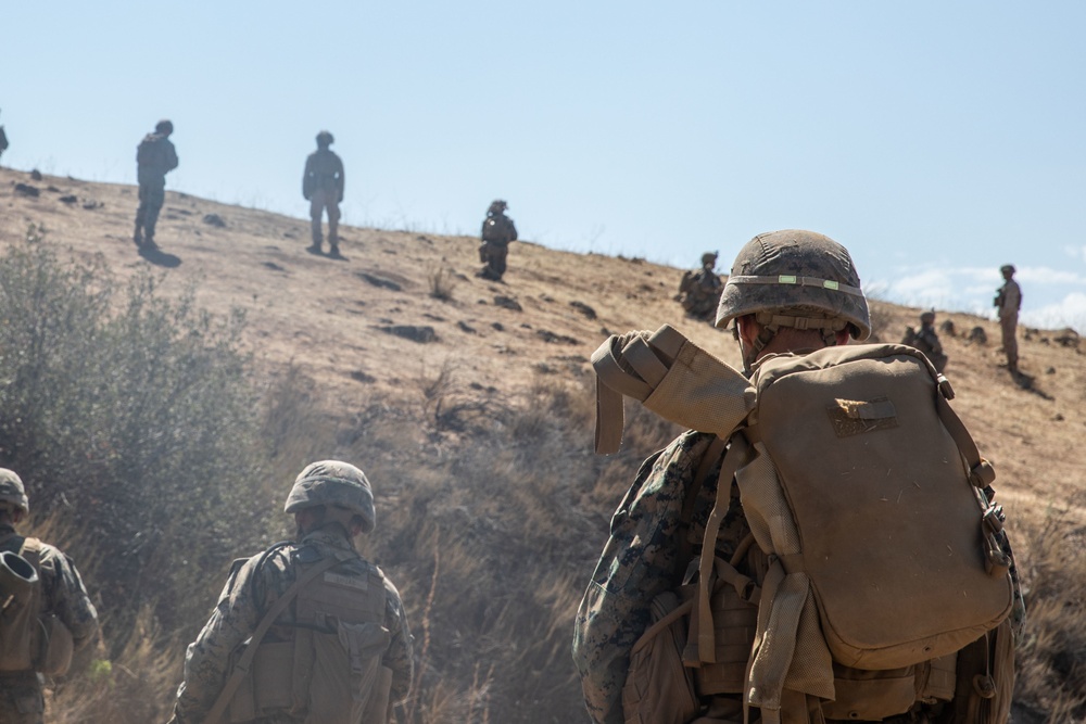 Super Squad: V15 R800