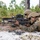 Infantry Marine Course students conduct squad ambush training