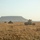 Combined Anti-Armor Team Red platoon conducts rehearsals for Exercise Koolendong
