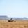 Combined Anti-Armor Team Red platoon conducts rehearsals for Exercise Koolendong