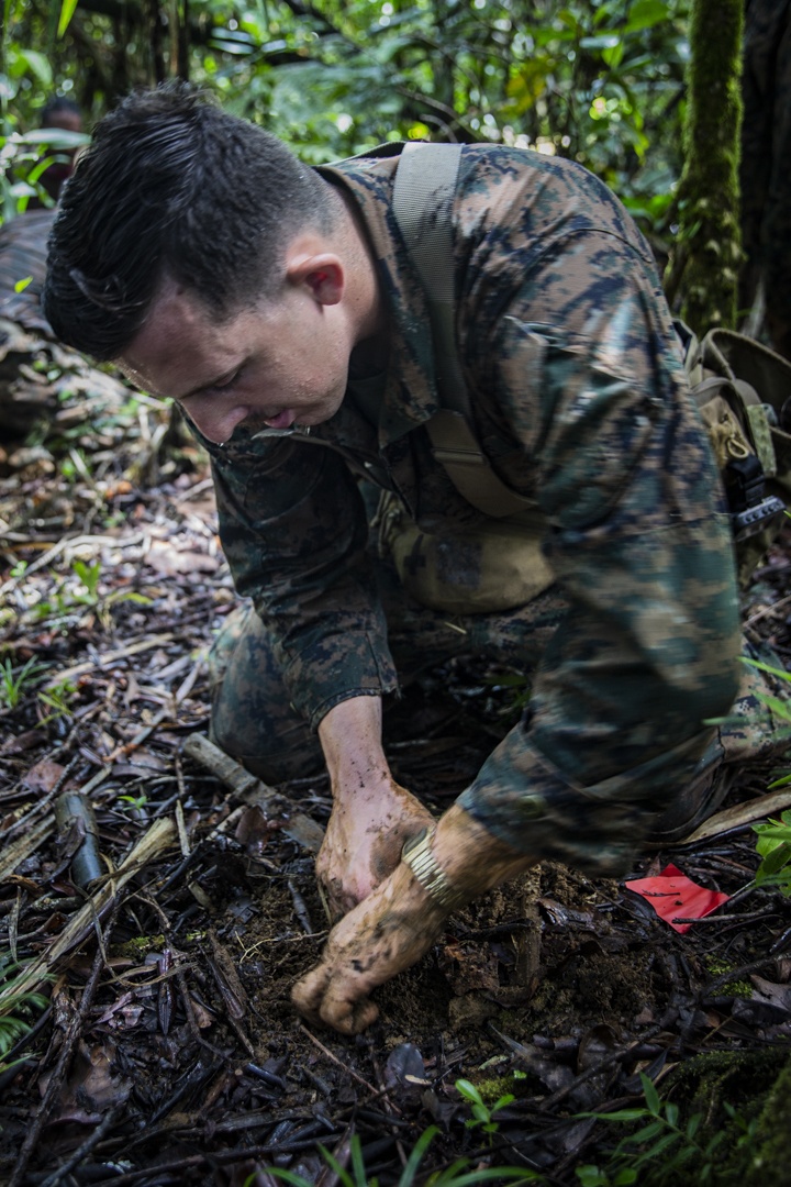 Task Force Koa Moana 21 UXO Sweep