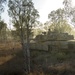 Mounted and dismounted attack rehearsals for Exercise Koolendong 2021