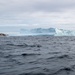 Escanaba and Richard Snyder pass icebergs