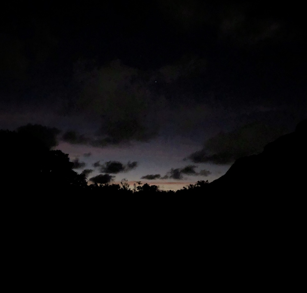 Andersen AFB preserves fanihi; Mariana fruit bat survey