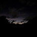 Andersen AFB preserves fanihi; Mariana fruit bat survey