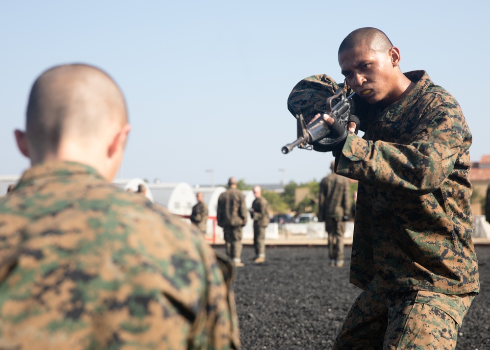 Alpha Company MCMAP Test