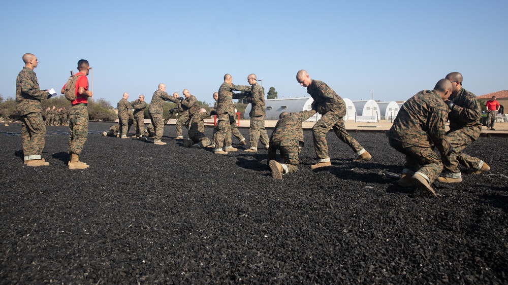 Alpha Company MCMAP Test