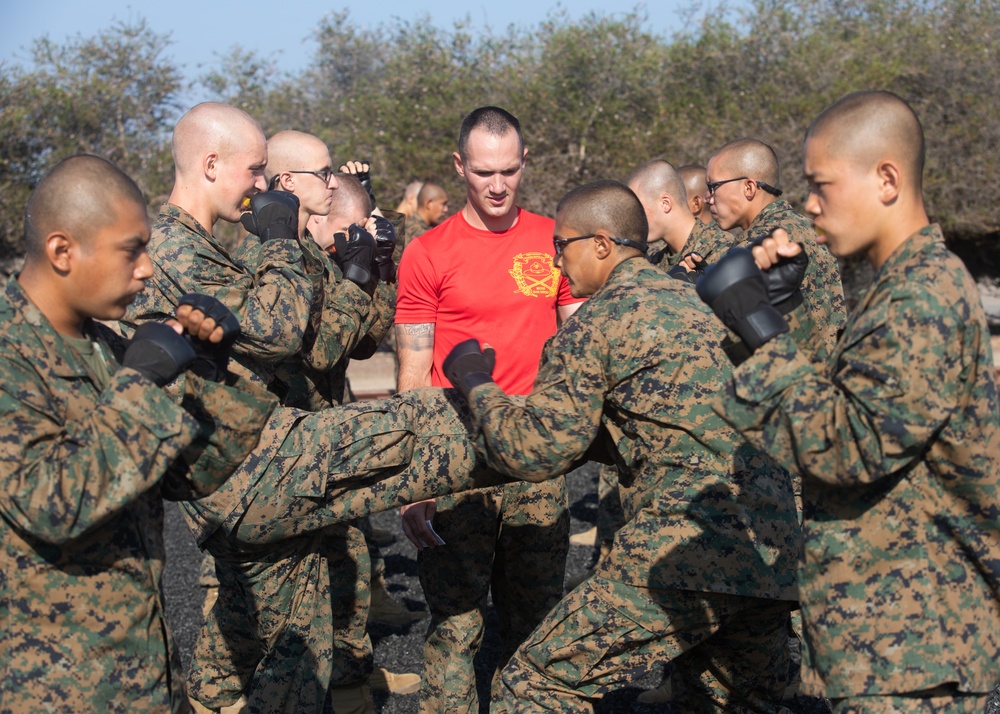 Alpha Company MCMAP Test