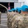 12th Air Force (Air Forces Southern) begins Angels de los Andes 2021 12th Air Force (Air Forces Southern) begins Angels de los Andes 2021