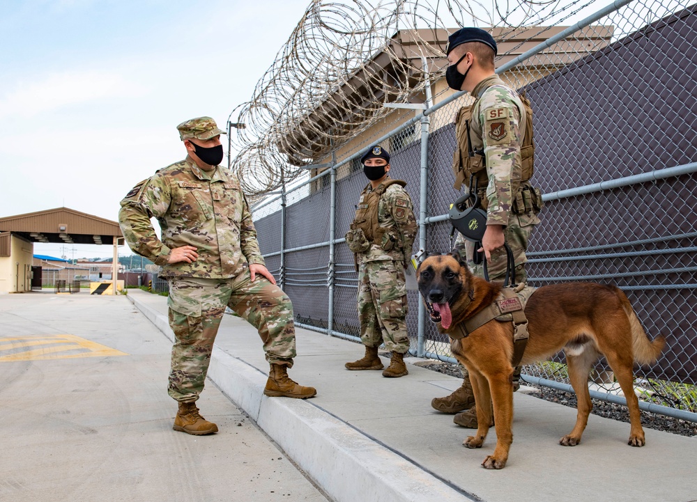 8 SFS, Wolf Chief integrate to defend the base